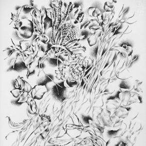Composizione floreale - disegno di Marina Chkouratova