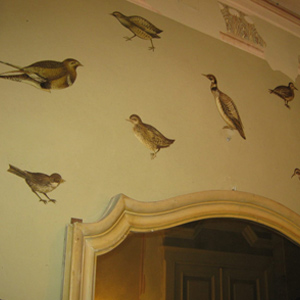 Uccelli - decorazione murale di Marina Chouratova